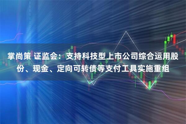掌尚策 证监会：支持科技型上市公司综合运用股份、现金、定向可转债等支付工具实施重组