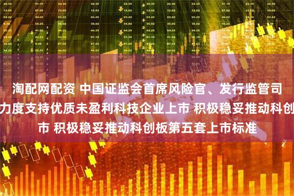淘配网配资 中国证监会首席风险官、发行监管司司长严伯进：更大力度支持优质未盈利科技企业上市 积极稳妥推动科创板第五套上市标准