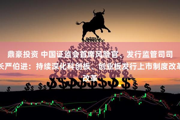 鼎豪投资 中国证监会首席风险官、发行监管司司长严伯进：持续深化科创板、创业板发行上市制度改革