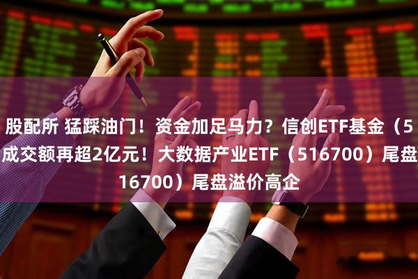 股配所 猛踩油门！资金加足马力？信创ETF基金（562030）成交额再超2亿元！大数据产业ETF（516700）尾盘溢价高企