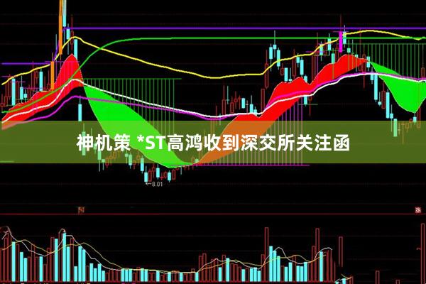 神机策 *ST高鸿收到深交所关注函