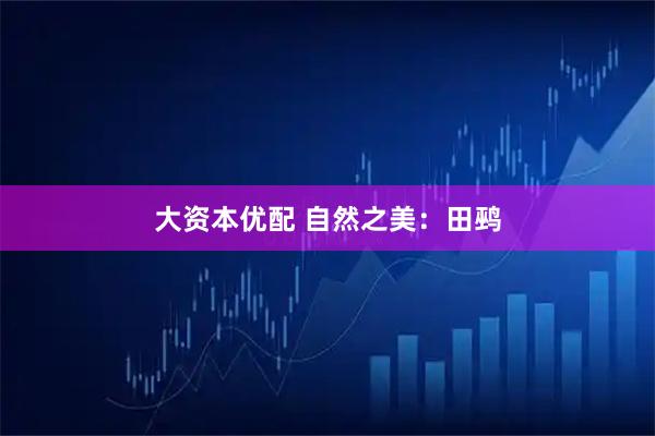 大资本优配 自然之美：田鹀