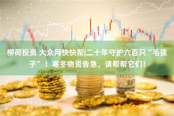柳荷投资 大众网快快帮|二十年守护六百只“毛孩子” ！寒冬物资告急，请帮帮它们！